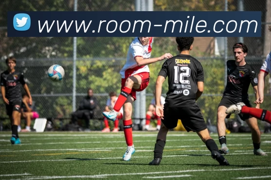 米乐体育平台生态图